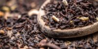 Consumption of Black Tea Kombucha and Gut Microbiota Modulation