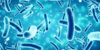 Prebiotic Type Spotlight: Synbiotic Administration Alongside Antibiotics