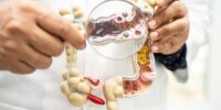 What’s the Latest in Prebiotic Research? – August 2025 Edition