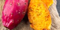 Cactus Pear Extract Shows Dual Action on Gut Health and Glucose Metabolism
