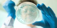 Development of a synbiotic potential score as a quantitative approach for selecting putative synergistic strain-prebiotic candidates