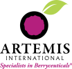 Artemis Logo